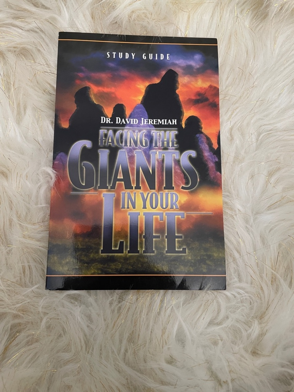 Facing the Giants in Your Life Study Guide - Bold Sunset Cover